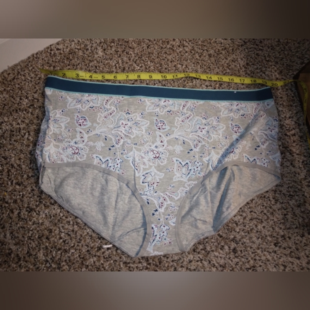 NWOT Cacique Gray &Teal Full Brief Panties Sz. 26/28